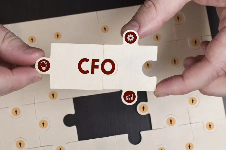 Chief Financial Officer Puzzle Illustrative
