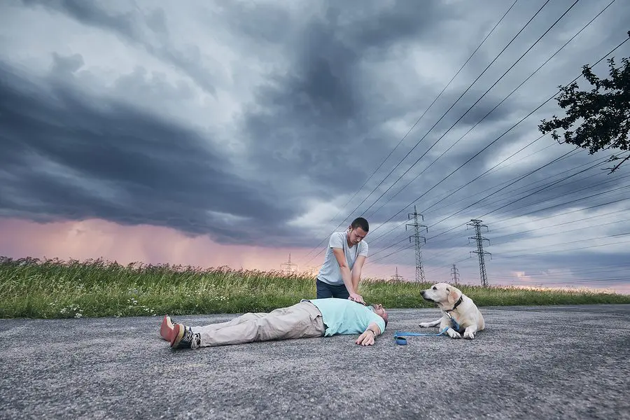 Resuscitating Man On Road With Dog