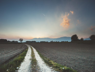 Sunset in a rural landscape