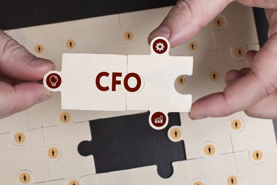 Chief Financial Officer Puzzle Illustrative
