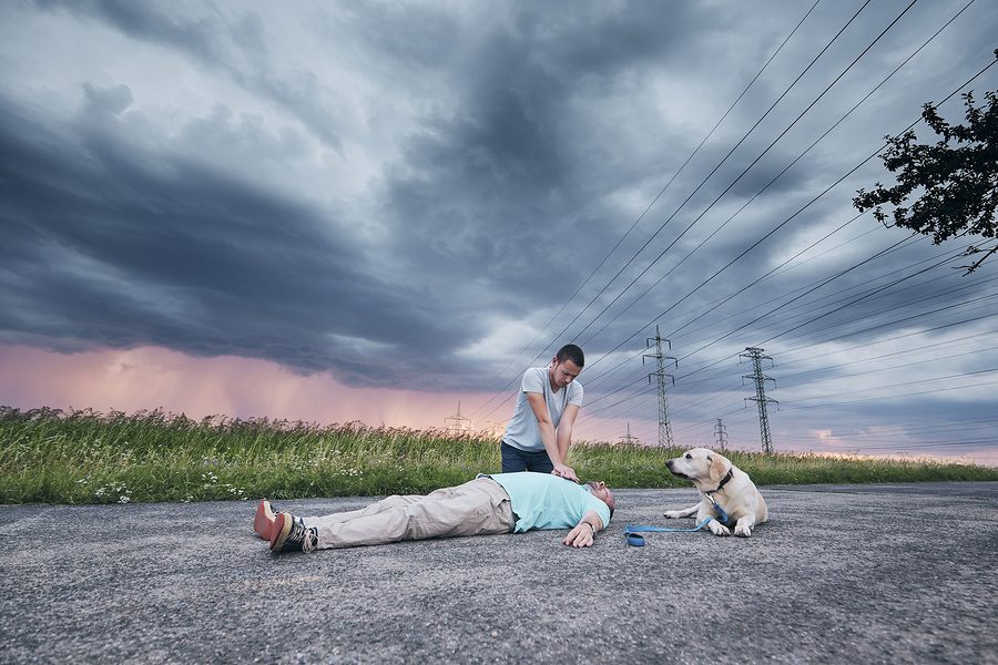 Resuscitating Man On Road With Dog