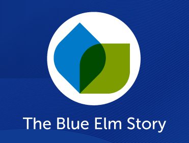 The Blue Elm Story